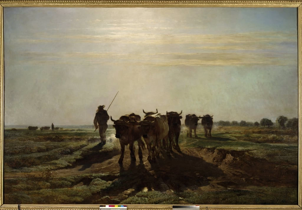 Buoi al lavoro. Effetto mattutino - Musée d'Orsay, Parigi